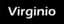 Logo Virginio